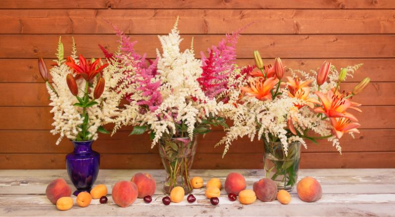 How to Use Astilbe in the Garden and Bouquets! - Nature Hills Nursery