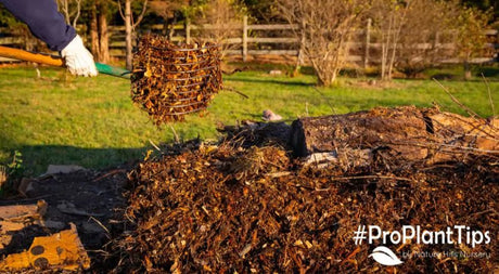 Hügelkultur: What Is It & Why You Might Want One? - Nature Hills Nursery