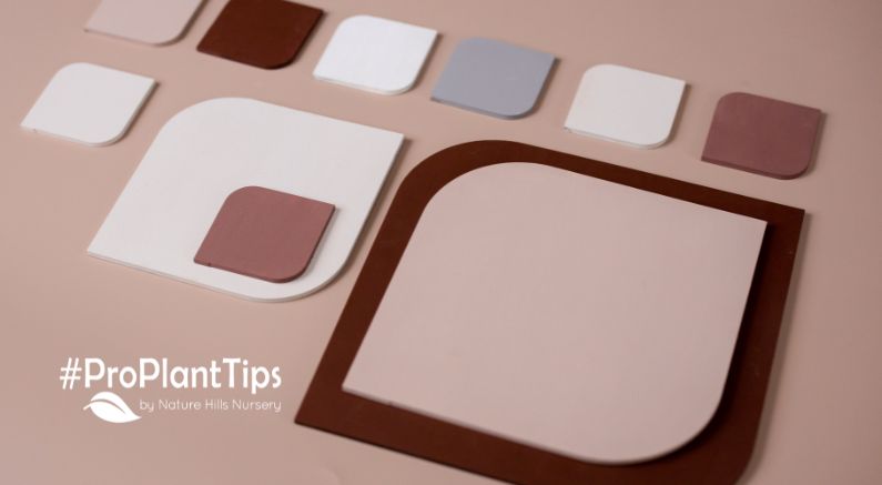 Introducing Pantone’s Color Of 2025 - Mocha Mousse! - Nature Hills Nursery