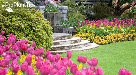 Introducing The Updated USDA Hardiness Zone Map - Nature Hills Nursery