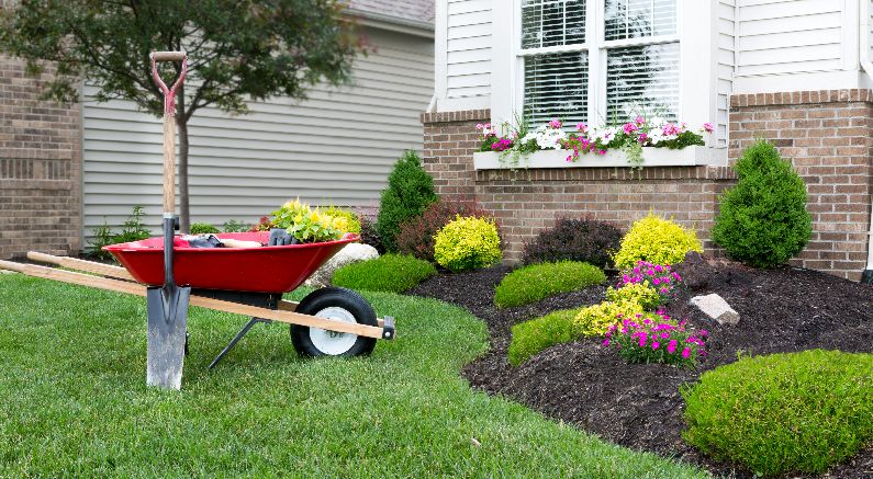 Is September the Best Time to Plant? - Nature Hills Nursery