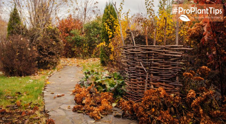 7 Ways to Get Your Garden Ready for Winter