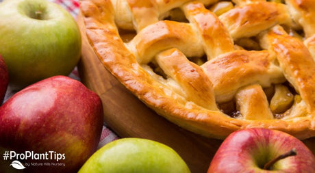 Top 5 Best Apples for Baking!