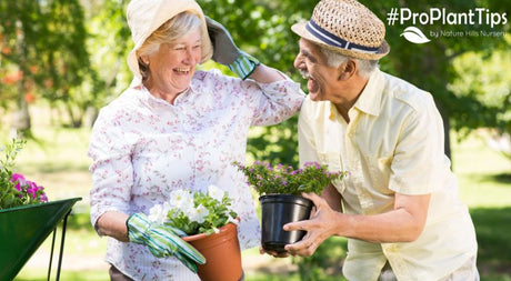 Best Tips for the New Gardener