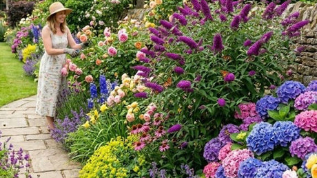 5 Low-Maintenance Flowering Shrubs That Bloom All Summer