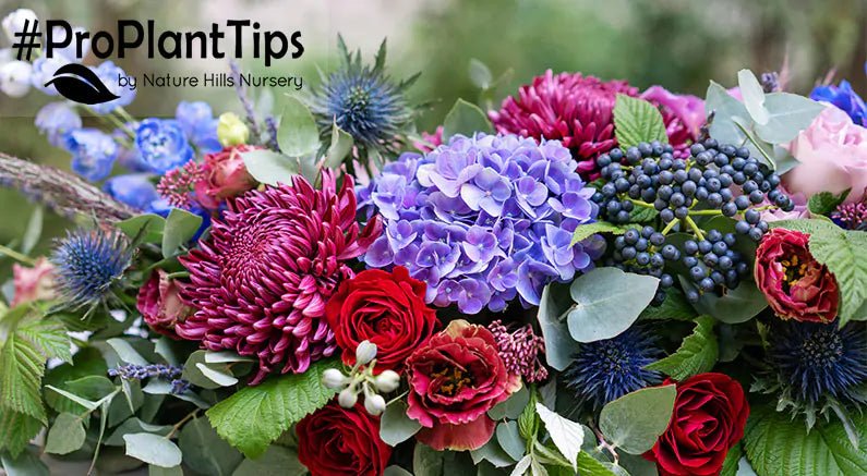 Must Haves for a Cutting Garden - Nature Hills Nursery
