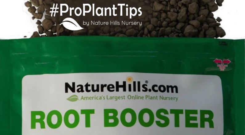 Nature Hills Root Booster: Mycorrhizal Plant Care