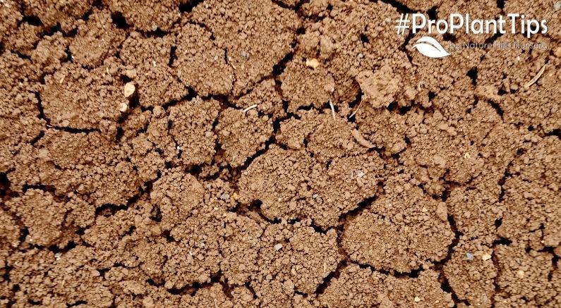 Pre-Planned Garden for Clay Soils - Nature Hills Nursery