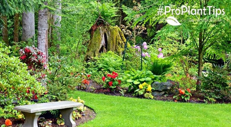Pre-Planned Sun Garden Recipes for Chilly Growing Zones - Nature Hills Nursery