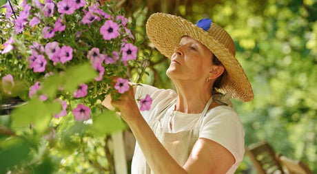 Prevent Annuals From Spreading - Nature Hills Nursery
