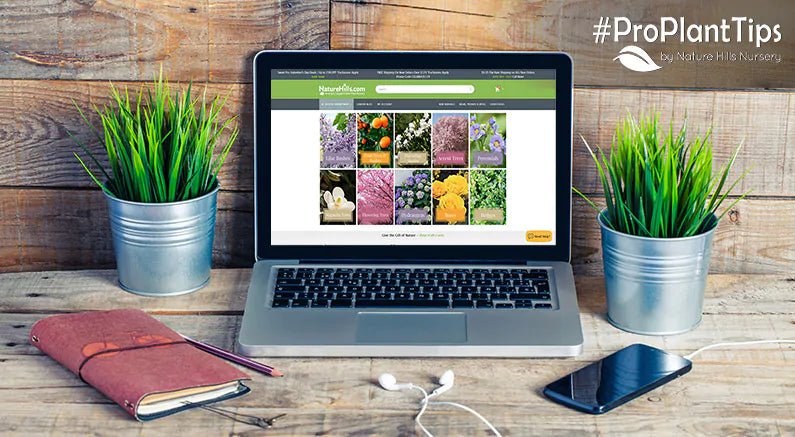#ProPlantTips: Order your Plants Early! - Nature Hills Nursery