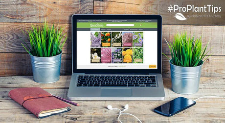 #ProPlantTips: Order your Plants Early! - Nature Hills Nursery