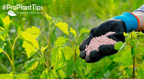 #ProPlantTips Soil Amendments and Fertilizers 101 - Nature Hills Nursery