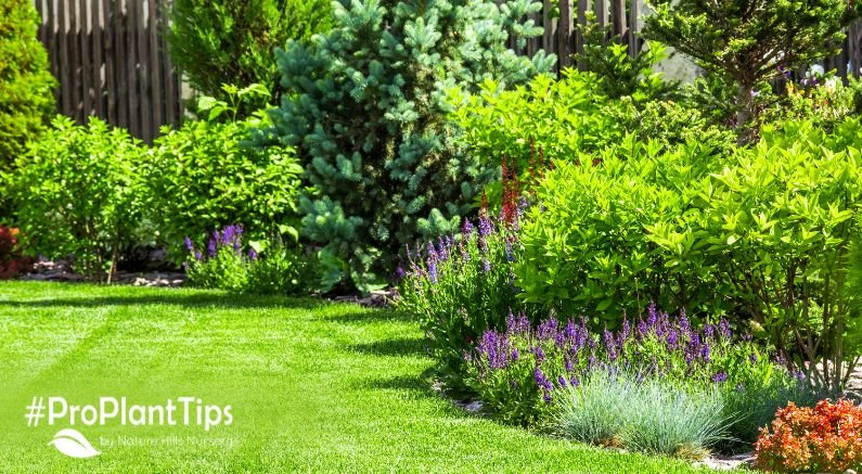 Pruning, Planting & Fertilizing: A Beginner's Checklist - Nature Hills Nursery