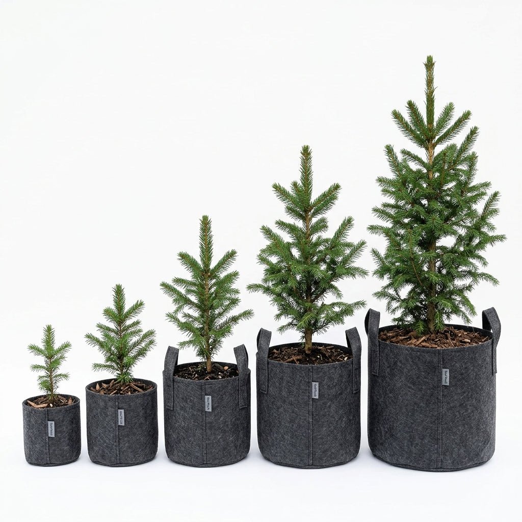 How to Plant a Nature Hills Root Pouch Container