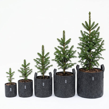 How to Plant a Nature Hills Root Pouch Container