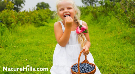 Roundup of the Hottest New Blueberries - Nature Hills Nursery