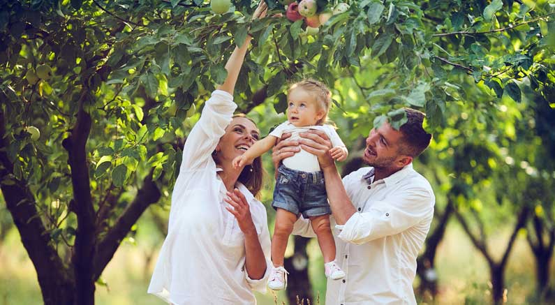 Selection Guide Low Chill Fruit Trees for Zones 9 and 10 - Nature Hills Nursery