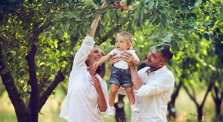 Selection Guide Low Chill Fruit Trees for Zones 9 and 10 - Nature Hills Nursery