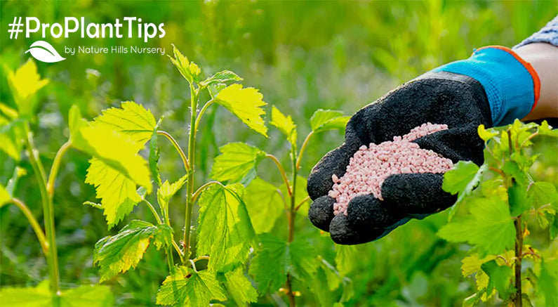 #ProPlantTips Soil Amendments and Fertilizers 101