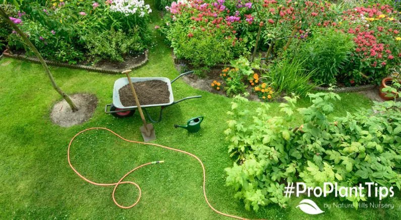 Superstitions Rooted In Plants And The Truth On Growing A Successful Garden! - Nature Hills Nursery