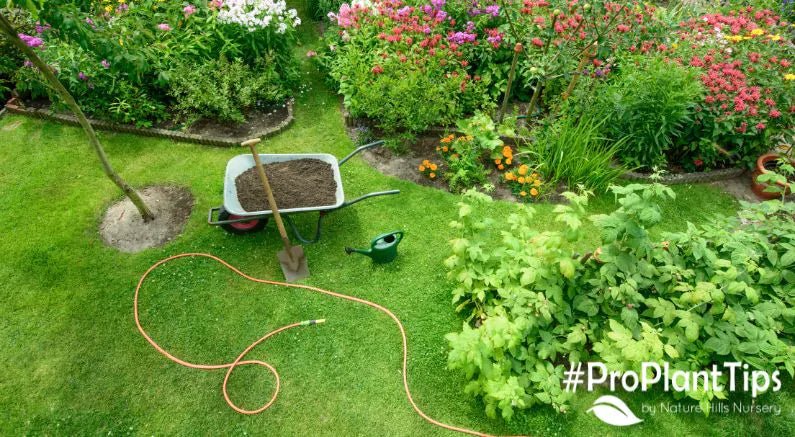 Superstitions Rooted In Plants And The Truth On Growing A Successful Garden! - Nature Hills Nursery