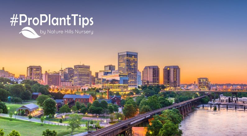 The Best Plants for Richmond: A Virginia Gardener’s Guide - Nature Hills Nursery