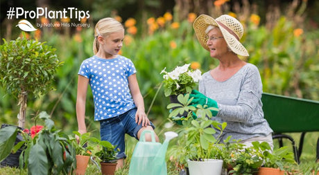 The Many Health Benefits of Gardening! - Nature Hills Nursery