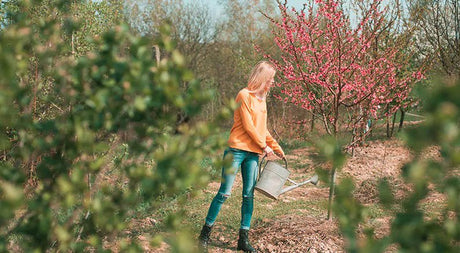 Top 10 Landscaping Tips for Millennials (& Other Newbies) - Nature Hills Nursery