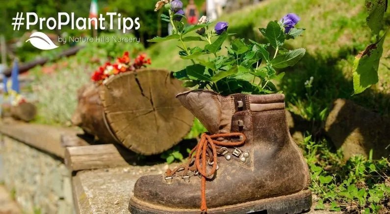 Unique Planter Ideas to Try this Spring - Nature Hills Nursery