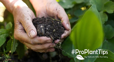 Well-Drained Soil: What Does It Mean? - Nature Hills Nursery