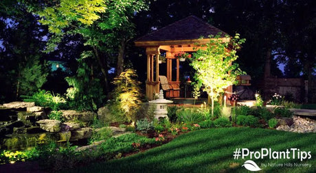 What Is Gardening With The Moon All About? - Nature Hills Nursery