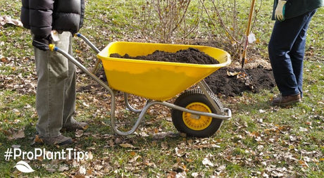 What to Do When Planting in the Fall - Nature Hills Nursery