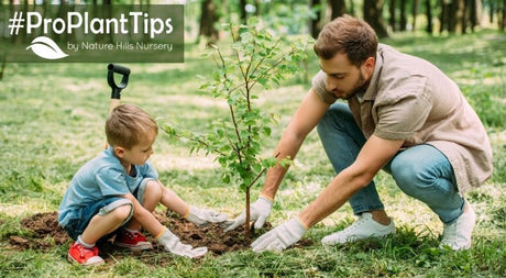When Is The Best Time To Plant? - Nature Hills Nursery