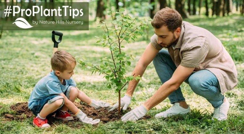 When Is The Best Time To Plant? - Nature Hills Nursery