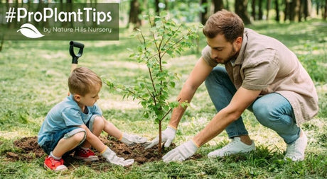When Is The Best Time To Plant? - Nature Hills Nursery