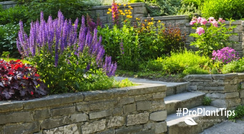 When Planting, Take Your Lead From Nature - Nature Hills Nursery