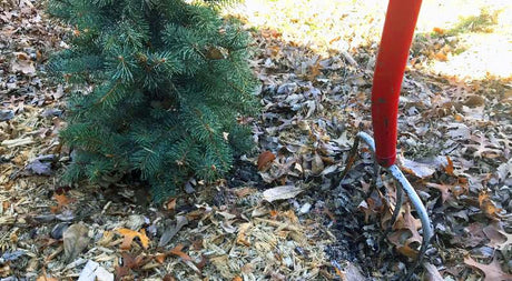 Winter Watering Tips for Trees, Shrubs and Perennials - Nature Hills Nursery