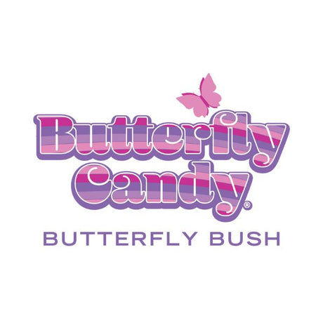 Butterfly Candy