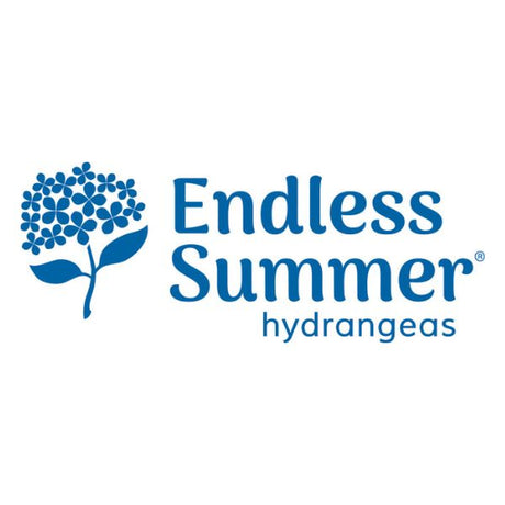 Endless Summer