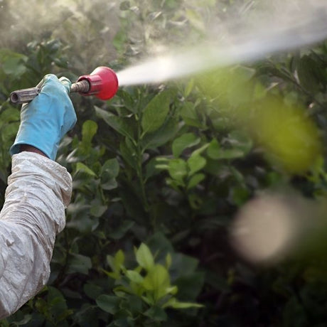 Pest & Disease Control