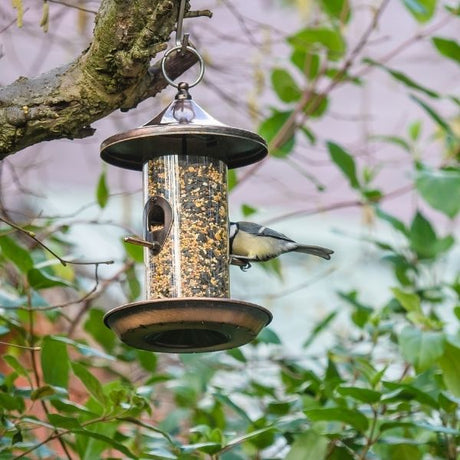 Bird Feeders