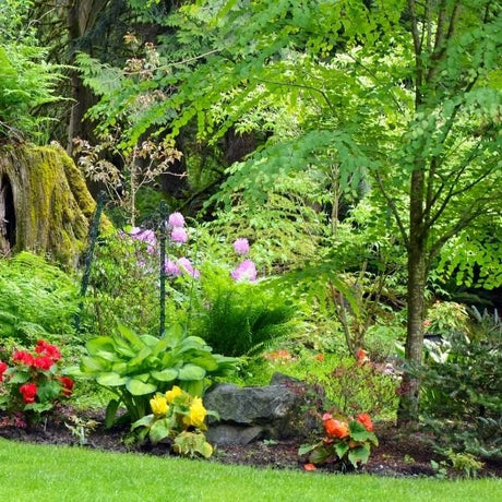 Garden - Nature Hills Nursery