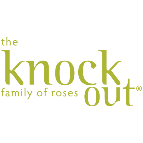 Knock Out Roses Logo
