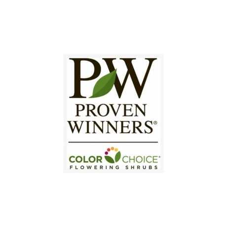 Proven Winners Colorchoice