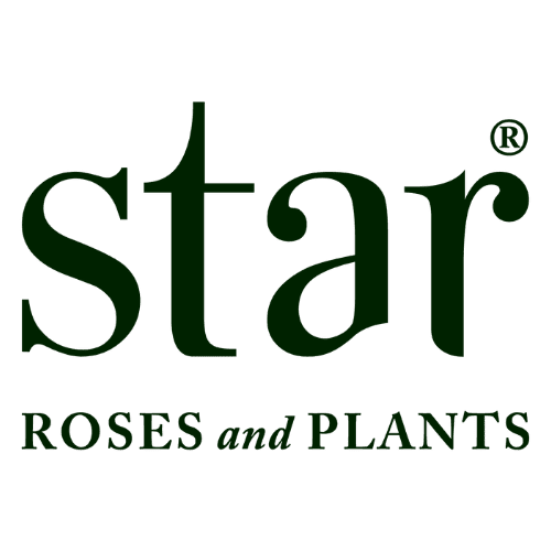 Star Roses and Plants Logo