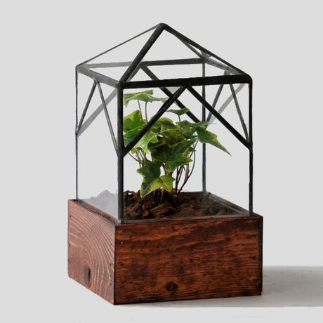 Terrarium