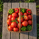 Vegetables
