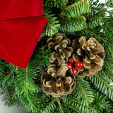 Fraser Fir and Mixed Pines Evergreen Wreath