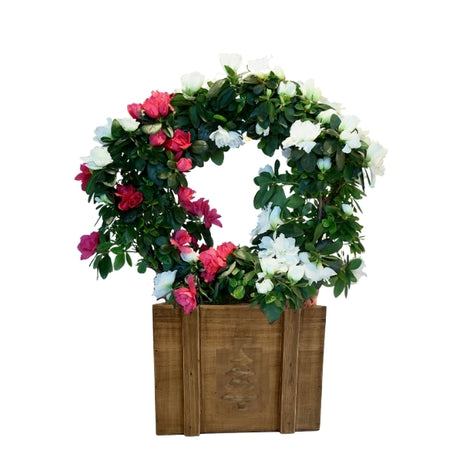 Candy Cane Azalea Wreath